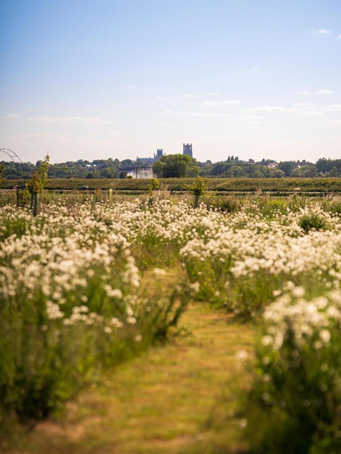 Hatters Meadows Glamping Ely Exterior foto