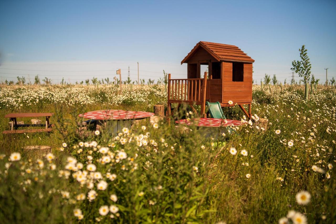 Hatters Meadows Glamping Ely Exterior foto