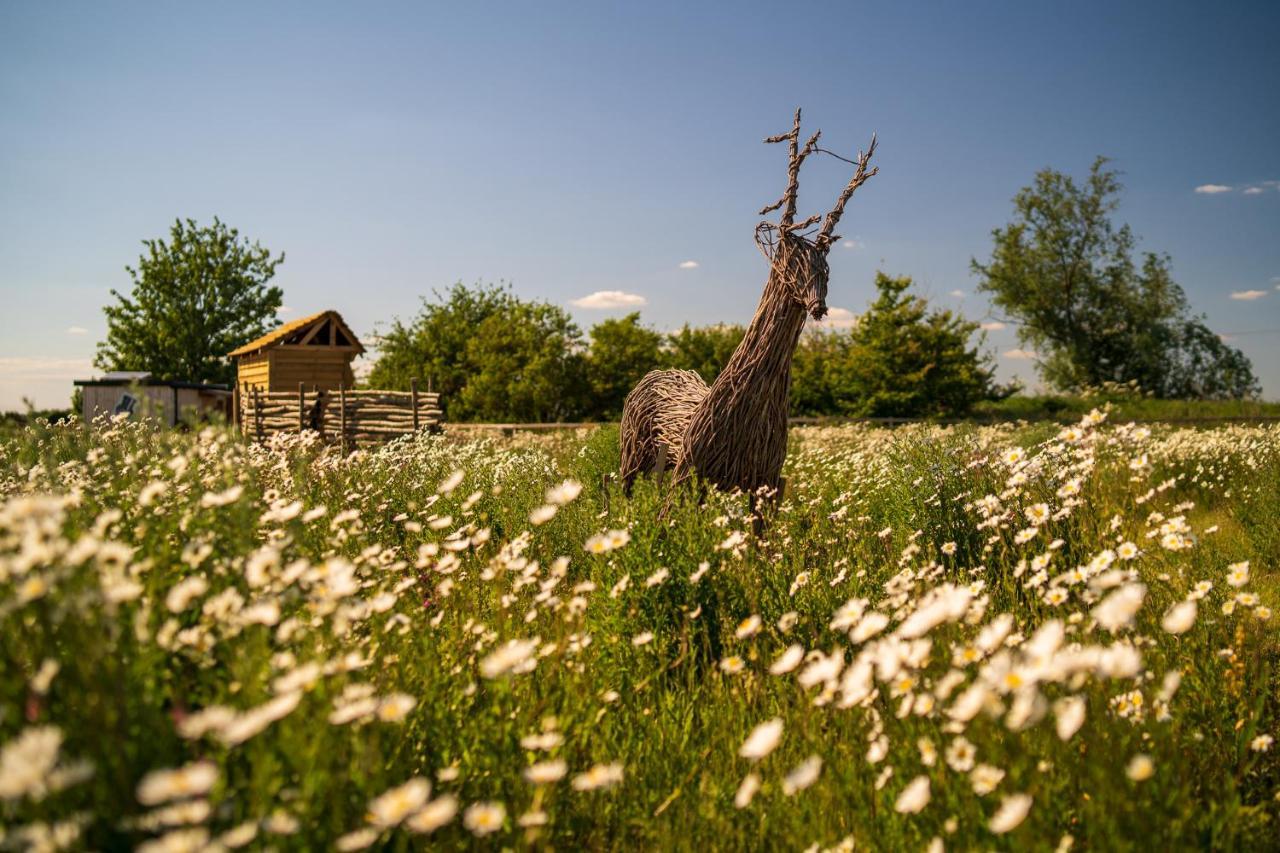 Hatters Meadows Glamping Ely Exterior foto